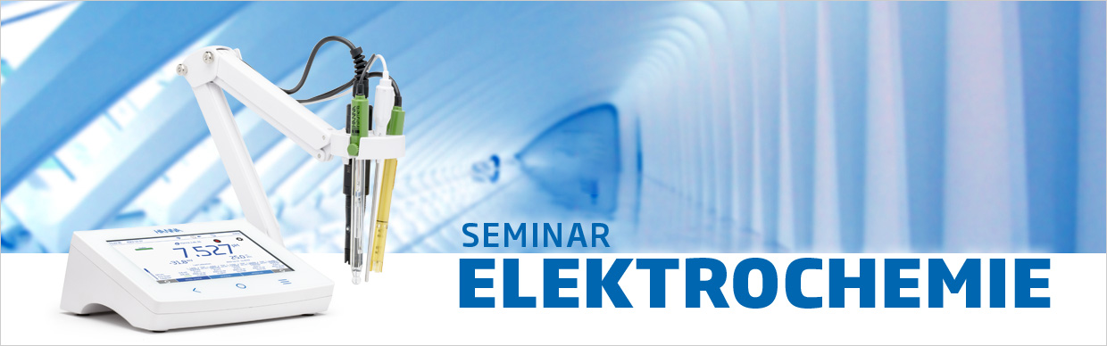 banner-seminarelek-nl